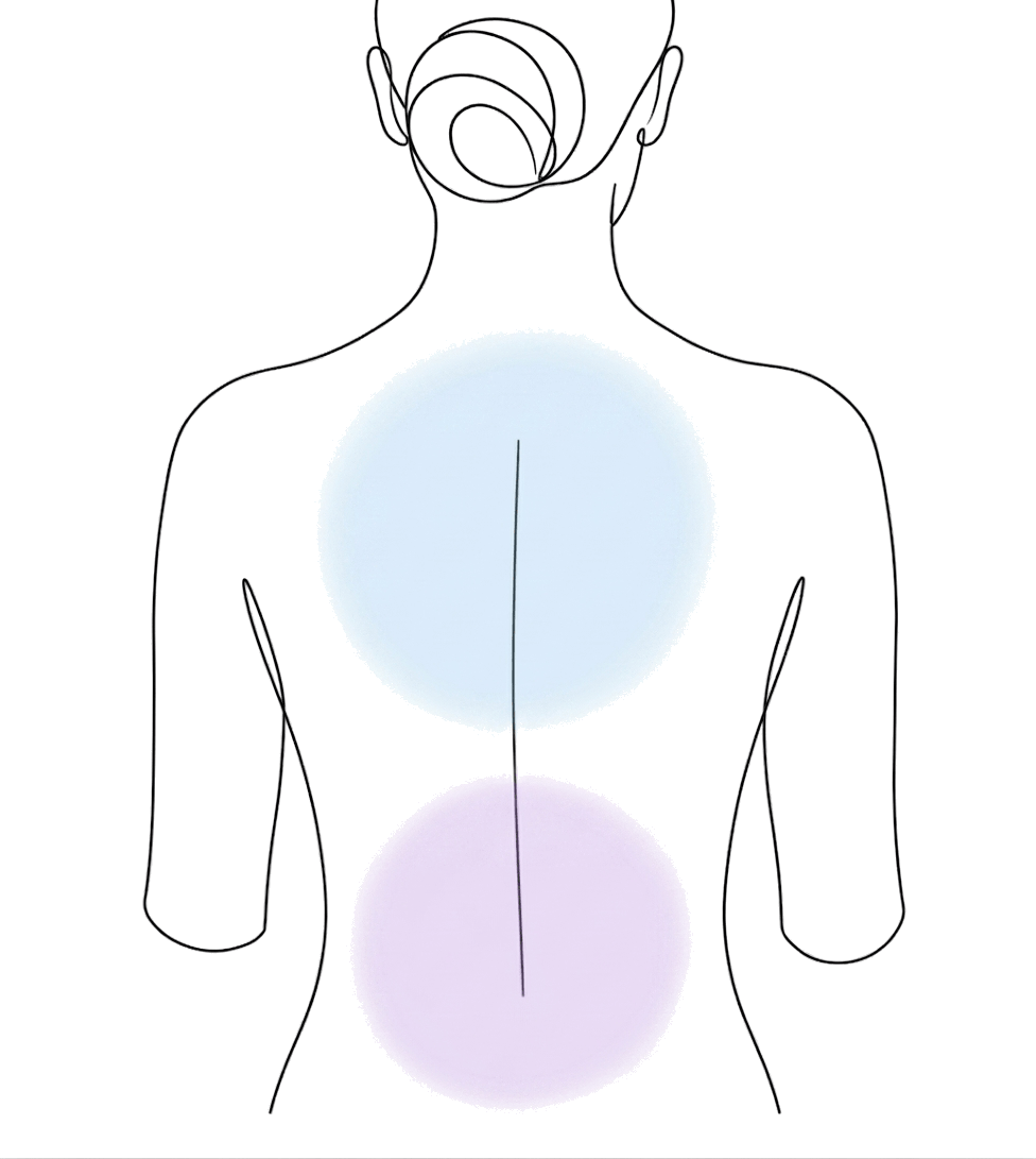 後ろ姿で背中と腰を示したイラスト