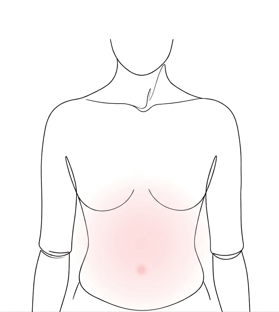お腹のイラスト