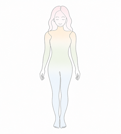 人体イラスト