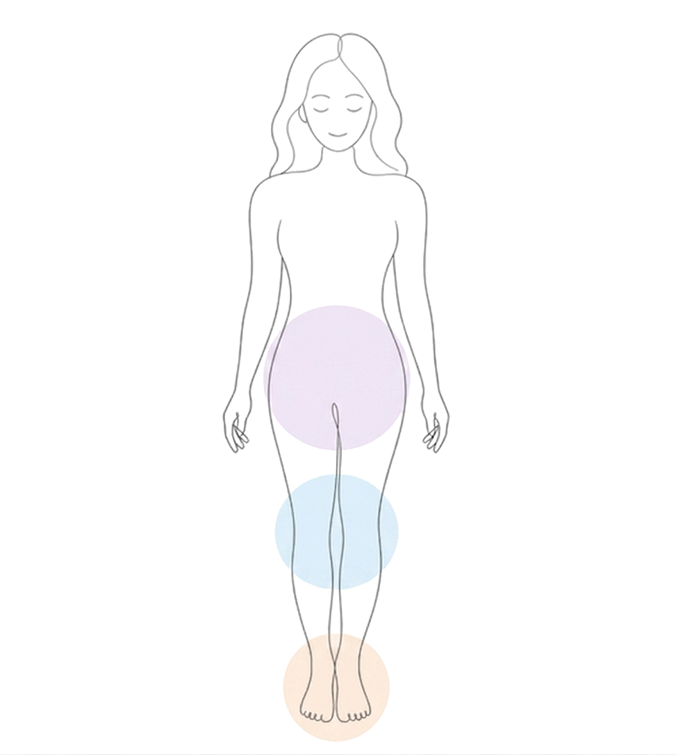 骨盤と脚のイラスト